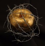 wise to decline _ barbed wire