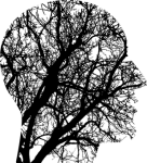 live right live long